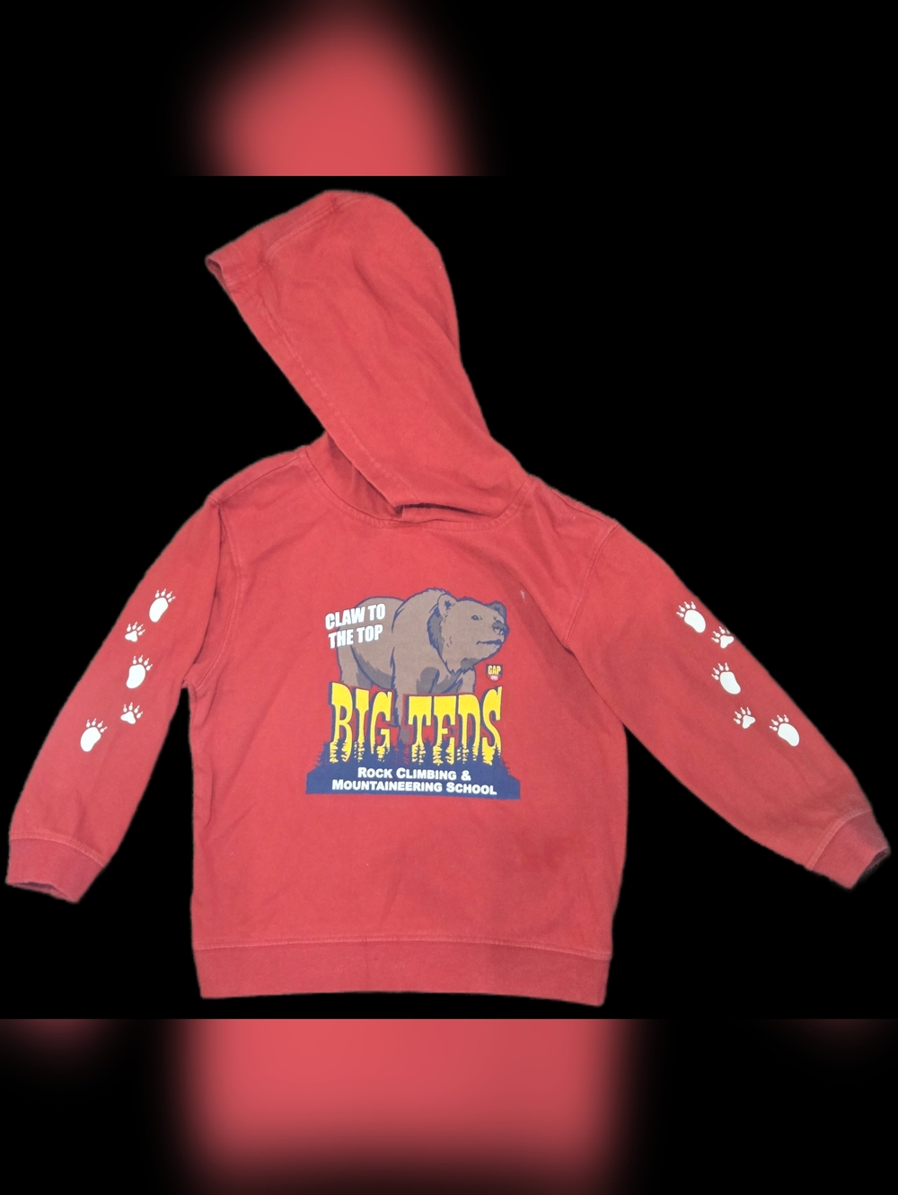 3T GAP Red 'Big Teds' Kids Hooded Sweatshirt